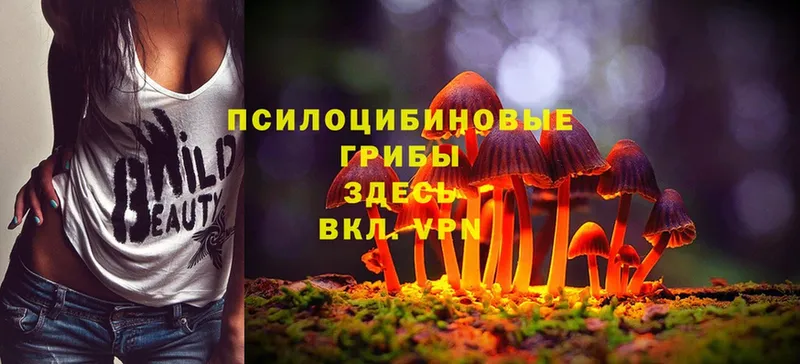 Галлюциногенные грибы Psilocybine cubensis  наркота  Выкса 